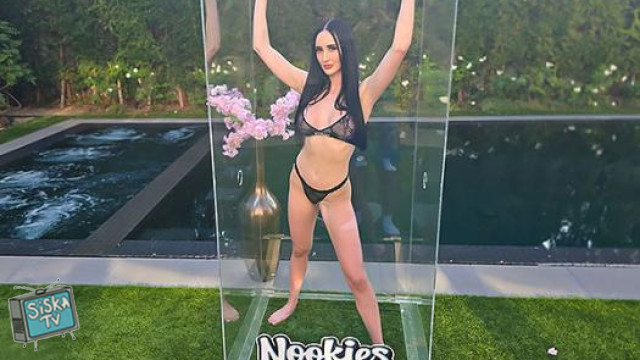 Sexbot 3: Dom Programming